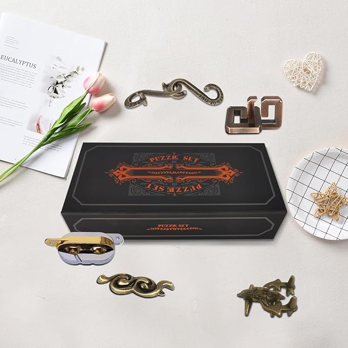 6PCS Metal Puzzle Box & 3D Brain Teasers for Adults/Teens, Challenging IQ Logic Games with Disentanglement Locks, Classroom Mind Challenge Supplies (Metal Puzzles)