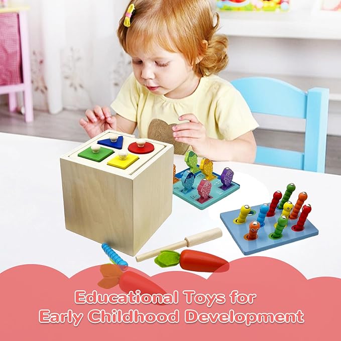 Wooden Montessori Toys for Toddlers 1-3, Color & Shape Sorting Matching Games, Fine Motor Skills Sensory Preschool Learning Educational Toys Baby Boys Girls Gifts (5 in 1)