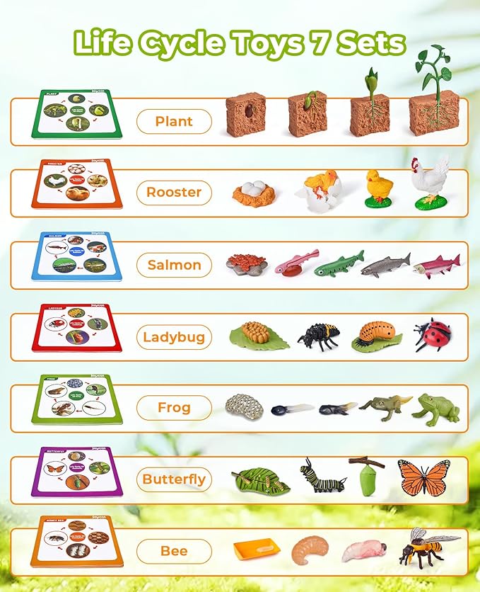JoyCat Life Cycle Learning Education Toys, Insect Caterpillar to Butterfly kit, Ladybug, Bee, Tadpole to Frog Kit Life Cycle Toys for Kids, Preschool Learning Activities for Kids (Animals and Plant)