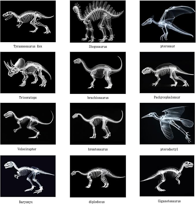 Animal X-Ray Set, Educational Science Kit, Light Table Accessory for Children (Dinosaurs)