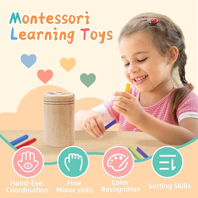 Montessori Wooden Stick Color Sorting Toys for 3 Year Old,Preschool Learning Activities Educational Fine Motor Matching Game,Birthday Gifts for Boys Girls