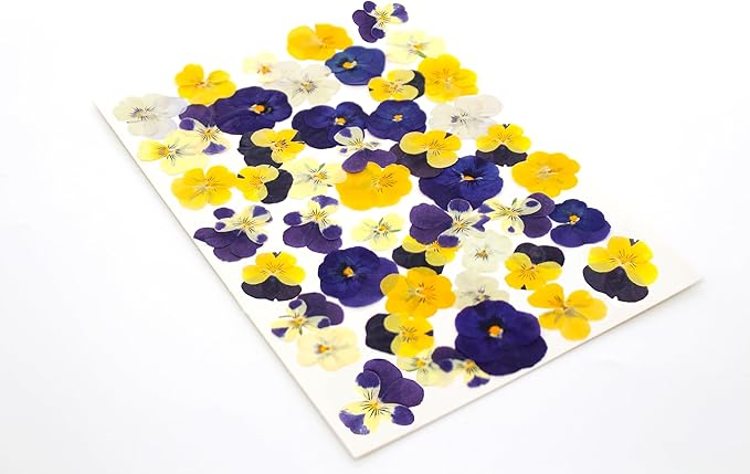48 Pcs Mixed Pansy Dried Pressed Flowers for Crafts,Real Nature Dry Flower Bulk for Resin Jewelry Making Candle Making Frame Decoration Art Floral Decors