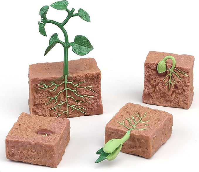 Montessori Life Cycle Animal Figurines Learning & Education Toys, Plastic Insect Life Cycle Toys for Kids, Preschool Learning Activities for Toddlers (Plant Bee Ant)