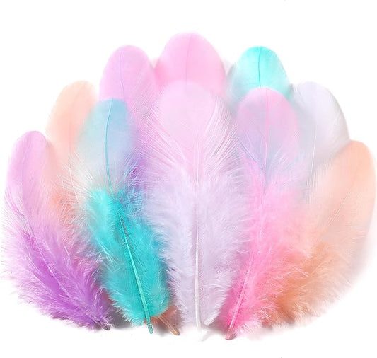 Soarer 300pcs Macaron Rooster Feathers Bulk - 3-5inch Craft Feathers for Wedding Home Party, Dream Catcher Supplies and DIY Crafts(Macaron)