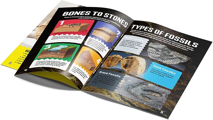 Byncceh Mega Fossil Dig Kit - Dig Up 12 Real Fossils Including Sharks, Dinosaurs & Ammonites - Archaeology Paleontology Science STEM Gift for Kids Ages 6-12