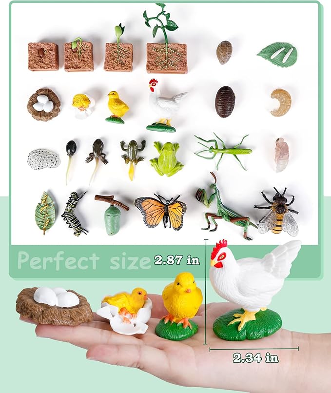 Life Cycle Learning Toys for Kids: Life Science Education Kits with Butterfly, Frog, Chicken, Mantis, Bee, Plants - 25 Pieces Animal Figurines Montessori Toys for Children Age 3 4 5 6 7 8+