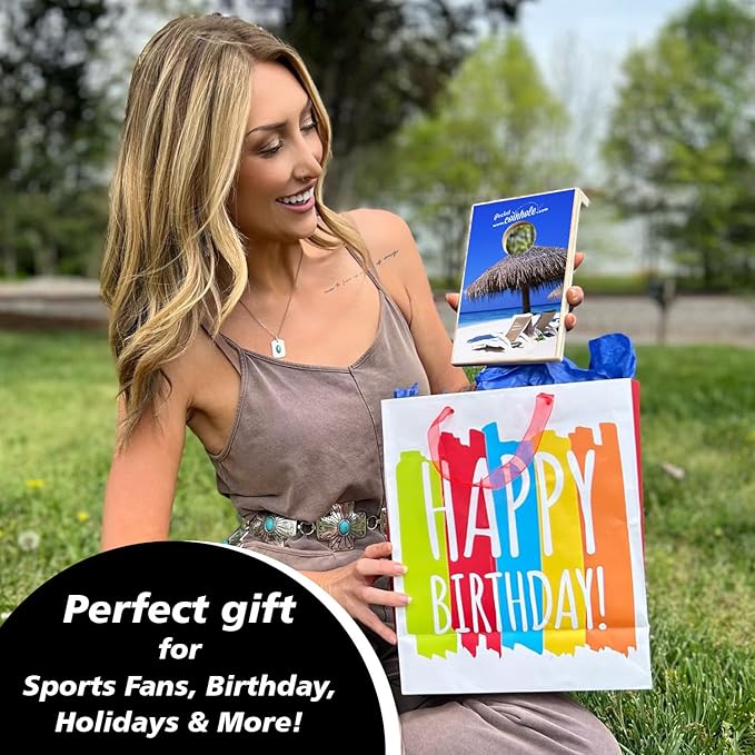 Coinhole Desktop Coin Bouncing Party Game Set | Tabletop Cornhole Board Game | Small Cornhole Travel Game Includes Coins