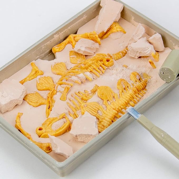 Science4you - Stegosaurus Fossil Digging Kit for Kids +6 - Excavate and Assemble 10 Stegosaurus Fossiles - Ideal Dinosaur Excavation Kit Toy, Archeology and Paleontology Sets for Kids Age 6+