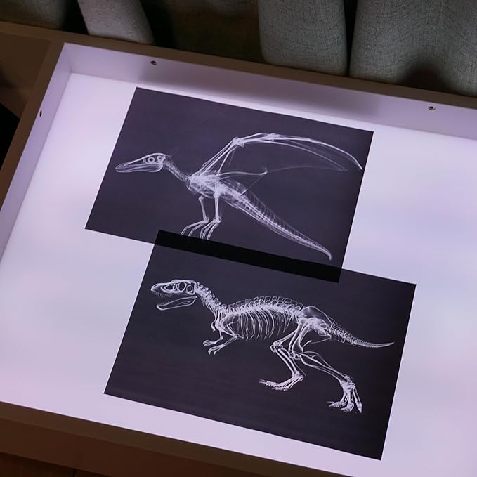 Animal X-Ray Set, Educational Science Kit, Light Table Accessory for Children (Dinosaurs)