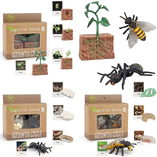 Montessori Life Cycle Animal Figurines Learning & Education Toys, Plastic Insect Life Cycle Toys for Kids, Preschool Learning Activities for Toddlers (Plant Bee Ant)