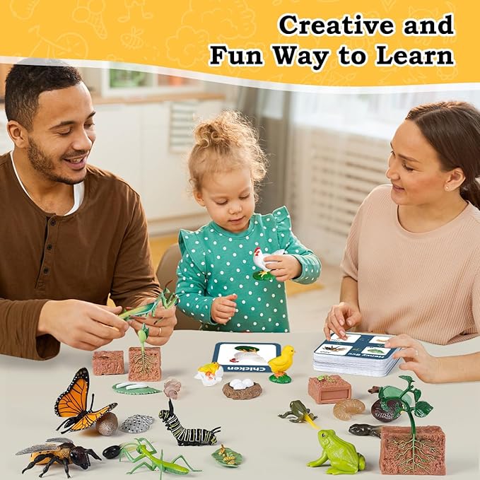 Life Cycle Learning Toys for Kids: Life Science Education Kits with Butterfly, Frog, Chicken, Mantis, Bee, Plants - 25 Pieces Animal Figurines Montessori Toys for Children Age 3 4 5 6 7 8+