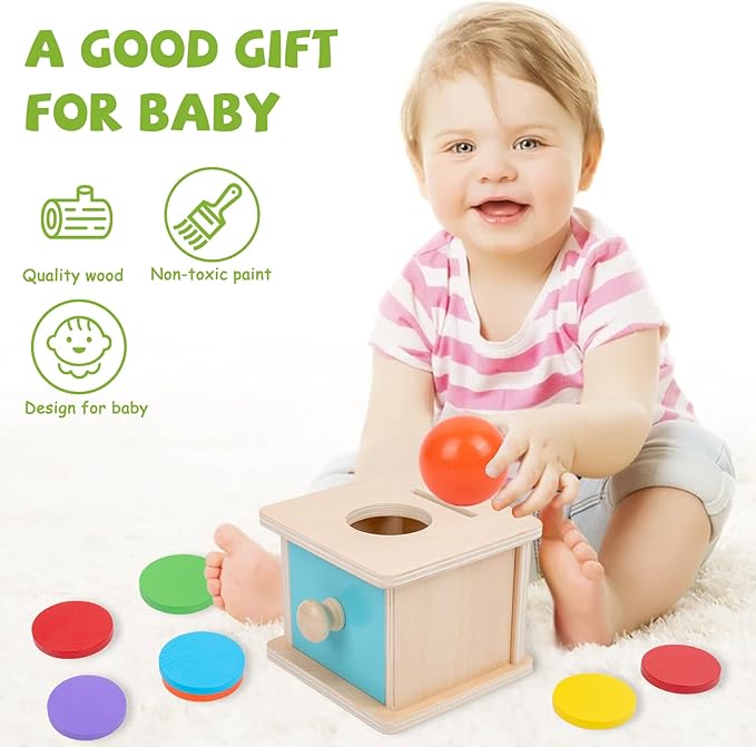 Adena Montessori Infant Toddlers Coin Box Montessori Toys for 6-12 Months Babies 1 Year 2 Year Old (2 in 1,Coin&Ball, Blue Door)