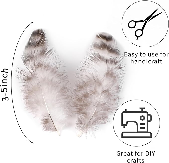 Soarer Natural Chinchilla Coque Feathers - 300pcs 3-5inch Craft Feathers for Dream Catcher Supplies, Home Party, Hats and Jewelry Accessories and DIY Crafts(Chinchilla)