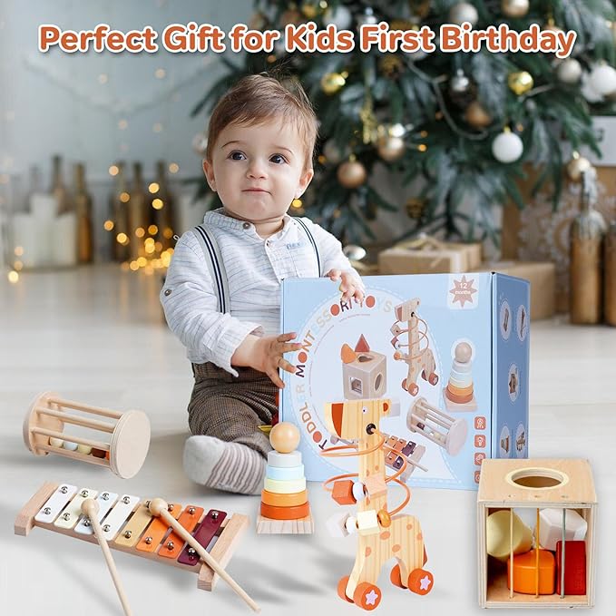 Wooden Montessori Toys Set for Toddlers,Wooden Toy Set for Babies Educational Object Permanence Box,Xylophone(Glockenspiel),Stacking,Rattle Birthday Gift for Boys Girls Ages 1 2 3 4 5