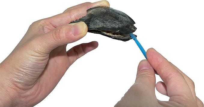 My Inspirations Precious Pearl – Lotus Pendant with 20" Chain, Pearl in Oyster DIY Necklace KIt, Unique Gift Set