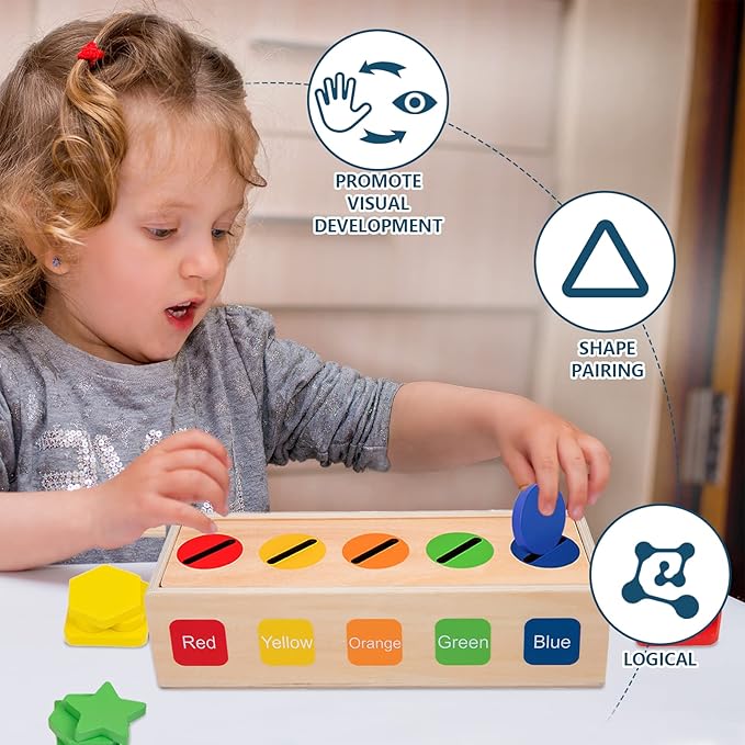 Adena Montessori Wooden Shape Sorter - Color Matching Learning Toys for 2-3 Year Olds (10 Shapes)
