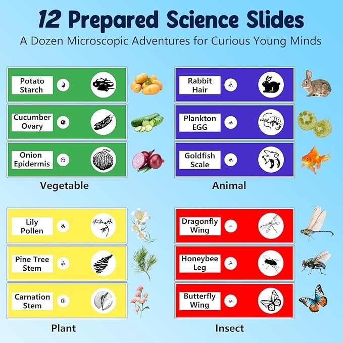 1000X Handheld Microscope for Kids, 4K 2.4" Screen Digital Kids Microscopes with 12 Slides, Portable Edu Toys Gifts for Age 3 4 5 6 7 8 9 10 11 12 Year Old Boys Girls Children Students(Orange)