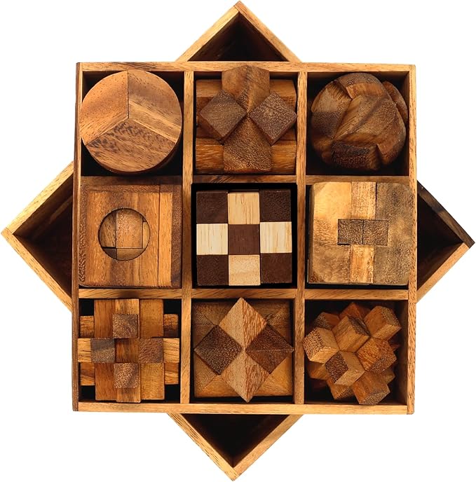 BSIRI 9 in 1 Wooden Brain Teaser Puzzles for Adults Teens and Kids Box Set for All Ages Wood Hard Level 10 Impossible Mind Wood Brain Teaser Games 3D Hand Puzzle Sets for Decoration and Mini Toys
