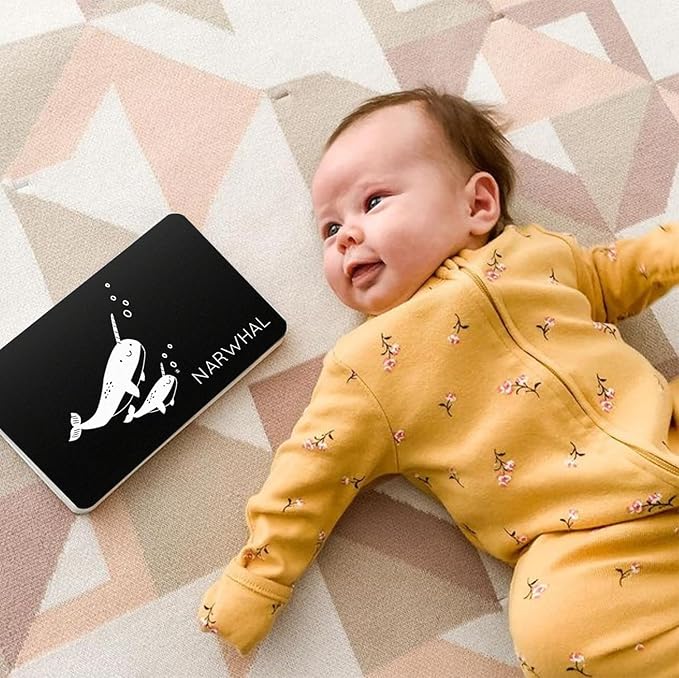 Curious Baby™ High Contrast Expansion Pack – 24 High Contrast Infant Vision Cards