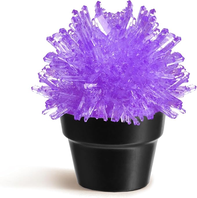 Crystal Growing Kit for Kids, Cactus-Purple DIY Crystal Science Experiment Set, Grow Your Own Crystals, STEM Educational Chemistry Kit for Boys & Girls Ages 6-12, Fun Science Lab Gift for Kids