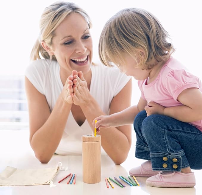 Vanplay Montessori Toddler Toys for 2 3 Year Old, Color Matching Toys for Toddlers 3, Fine Motor