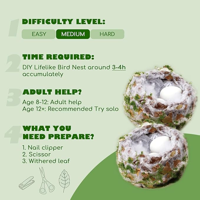 CHARTEKS DIY Bird Nest Craft Kit with 30 Twinkle LEDs and Simulated Eggs – Natural String Art Set for Home Décor, Kids STEM Toy, Creative Birthday Gift for Boys Girls Age 8+