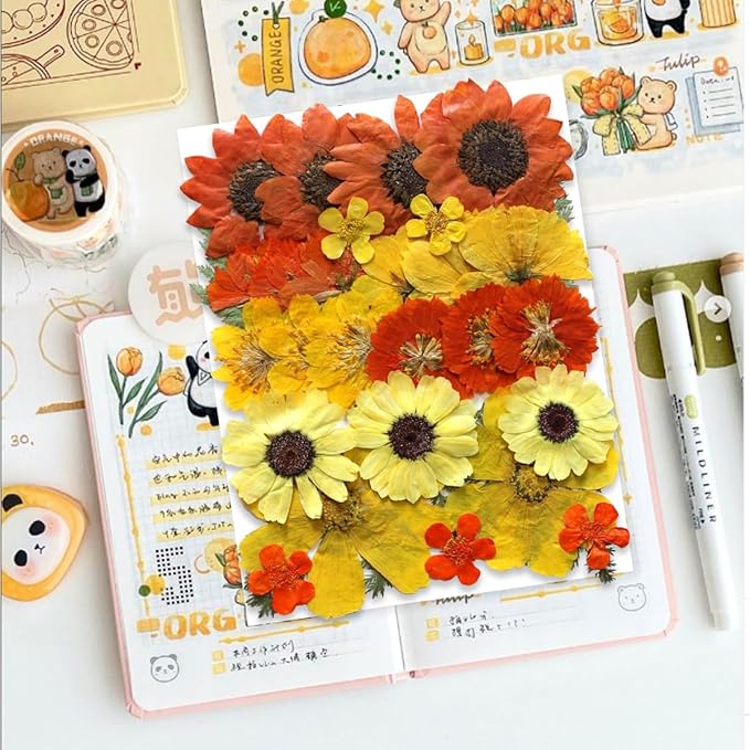 Large Fall Autumn Dried Pressed Flower for Resin, Big Real Nature Pressing Floral Leaves for DIY Craft, Mold, Jewelry Making, Candle Scrapbooking Supplies