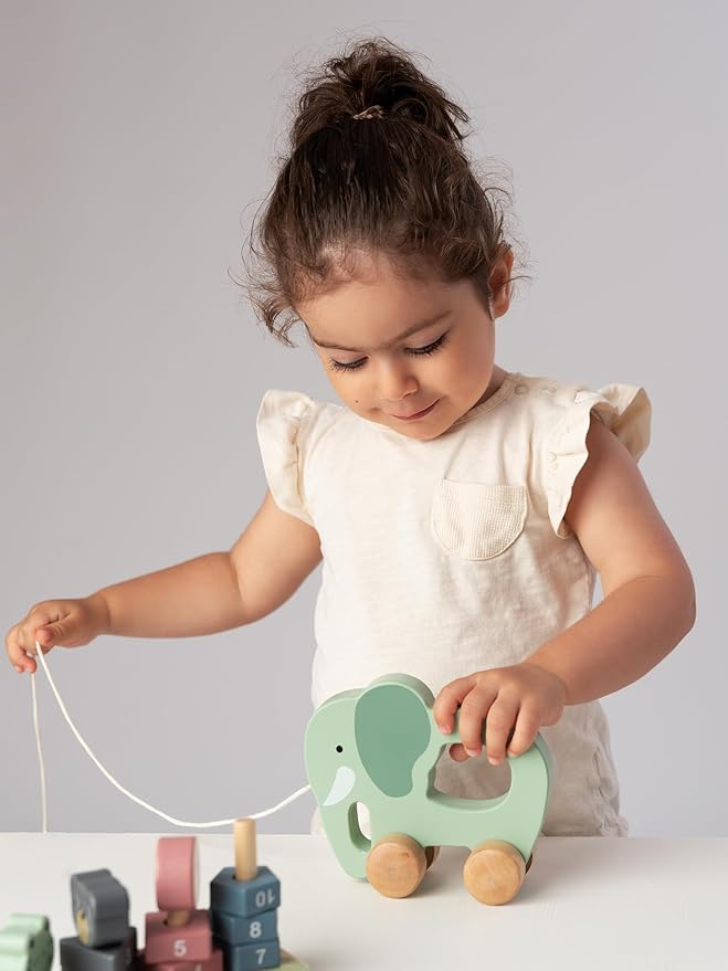 ELLIANI Montessori Toys for 1 Year Old - 3-in-1 Wooden Toy Set, Stacking Toys for Toddlers 1-3 with Bead Maze & Pull Toy, Baby Gender Neutral Gifts