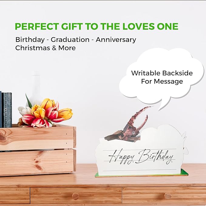 3D Wooden Puzzle for Adults, Garden Insects Collection, Educational DIY, Ladybug, Bees and Dynastes Models (Dynastes)