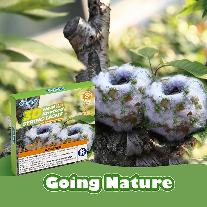 CHARTEKS DIY Bird Nest Craft Kit with 30 Twinkle LEDs and Simulated Eggs – Natural String Art Set for Home Décor, Kids STEM Toy, Creative Birthday Gift for Boys Girls Age 8+