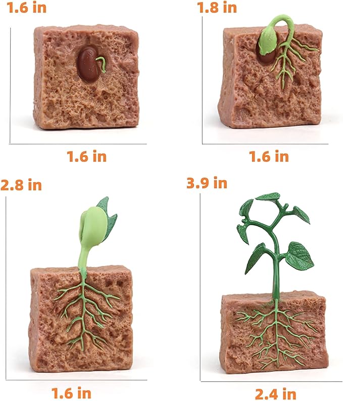 Montessori Life Cycle Animal Figurines Learning & Education Toys, Plastic Insect Life Cycle Toys for Kids, Preschool Learning Activities for Toddlers (Plant Bee Ant)