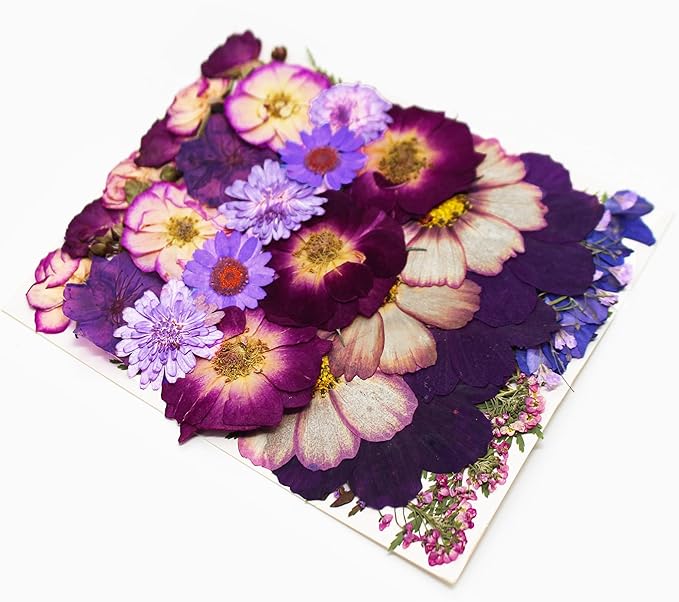 Large Purple Dried Pressed Flower for Crafts, Large Big Real Nature Dry Pressed Flowers for Resin Molds Candle Making Phone Cases DIY Art Crafts Jewelry Making