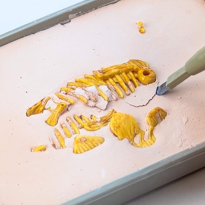 Science4you - Stegosaurus Fossil Digging Kit for Kids +6 - Excavate and Assemble 10 Stegosaurus Fossiles - Ideal Dinosaur Excavation Kit Toy, Archeology and Paleontology Sets for Kids Age 6+