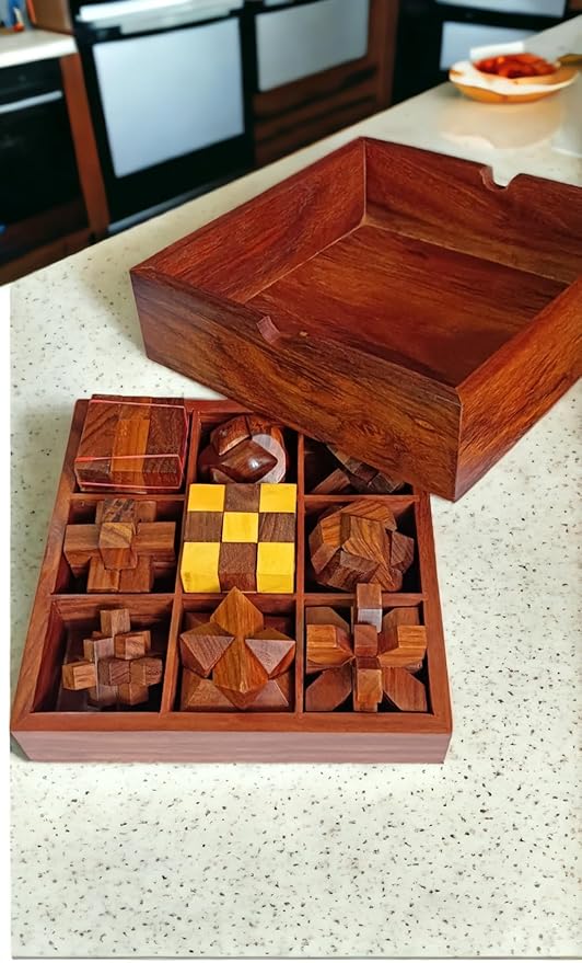 Ajuny 9-in-1 Wooden Puzzle Game Set 3D Brain Teasers Puzzles IQ Logic for Teens and Adults Handmade Interlocking Kongming Lock Game with Decorative Storage Box Unique Gift for Christmas and Birthdays