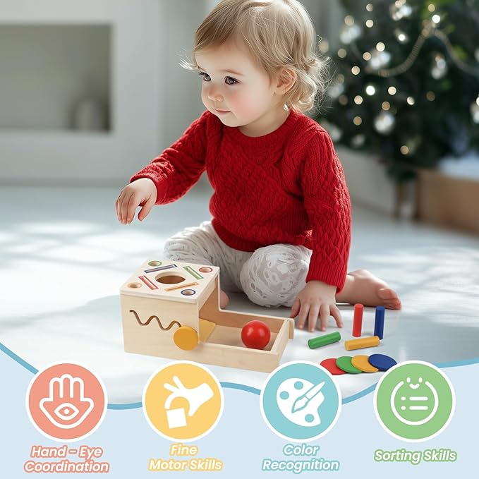 Wooden Montessori Toys for Toddlers 1-3, 5-in-1 Object Permanence Coin Box Wooden Ball Drop Toy Play for 1 2 3 Year Old Toddlers