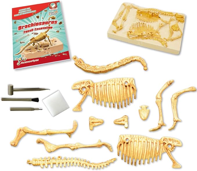 Science4you Brachiosaurus Fossil Digging Kit for Kids - Excavate and Assemble 11 Pieces Dinosaur Fossil, Excavation Dig Kit + Dinosaurs for Kids, Games, Dinosaur Toys for Girls and Boys 6+ Years Old
