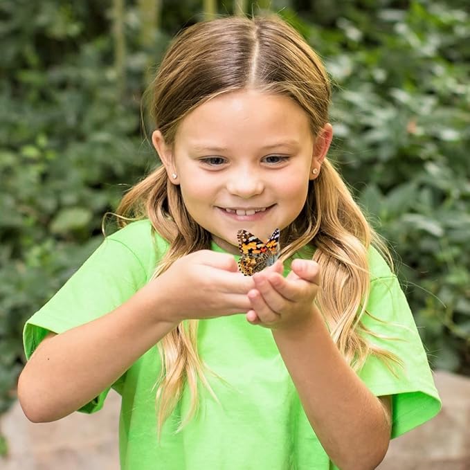 Butterfly Garden: Original Habitat and Two Live Cups of Caterpillars with Journal – Life Science & STEM Education – Butterfly Science Kit - Plus Butterfly Life Cycle Stages Figurines