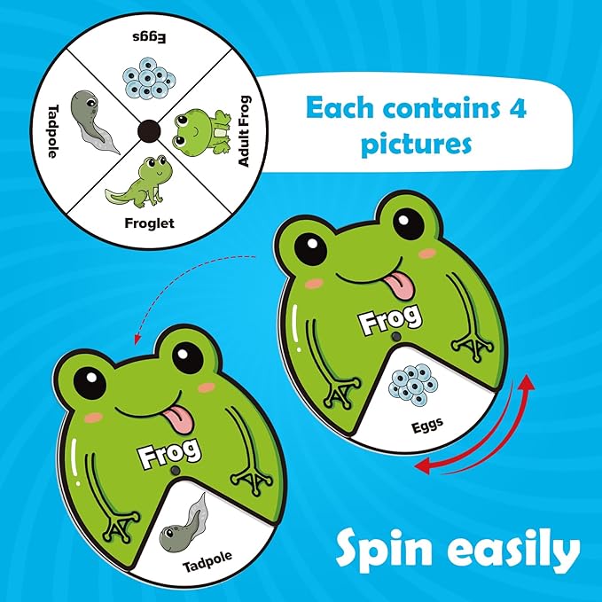 Life Cycle Toys for Kids,Animal Plant Insect Bug Ladybug Butterfly Tadpole to Frog Kit,Montessori Learning & Education Toys,Preschool Science Learning Activities for Toddlers,Board Card Games