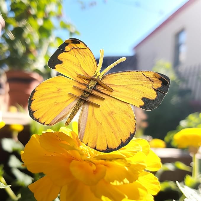 Preschool Toys Eco-Friendly Science Kits & STEM Projects, 3D Paper Puzzle for Kids 7+, Ideal for Homeschooling Supplies, Early Development Tools-Butterfly Series, 3 Colour