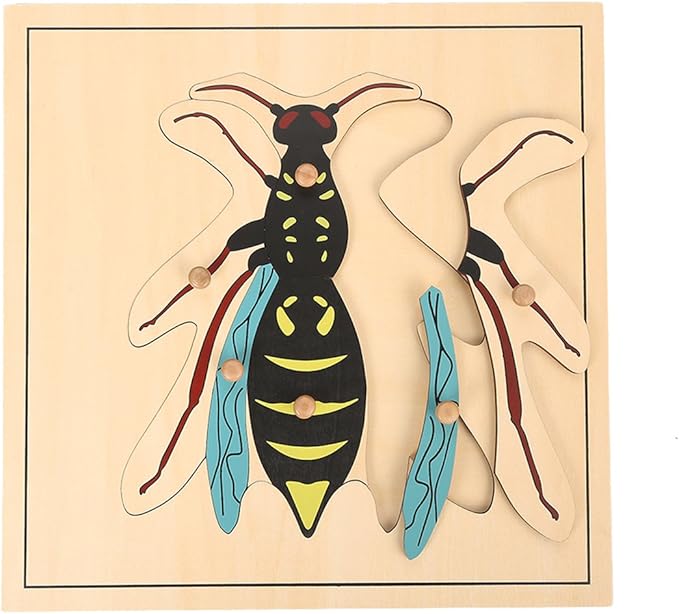 MEYOR Montessori Wasp Puzzle for Early Preschool Education Learning Toys