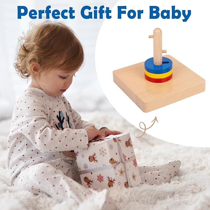 Adena Montessori Wooden Twist and Sort-Circle Preschool Equipment Early Development Baby Toy