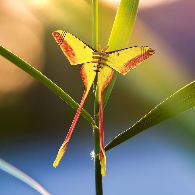 STEM Educational Toy Paper Puzzle for Children, Hands-On Learning Experience Inquisitive Minds, Preschool Toys for Birthday, Christmas, Holidays(Actias Moth, Ages 7 and Up)…