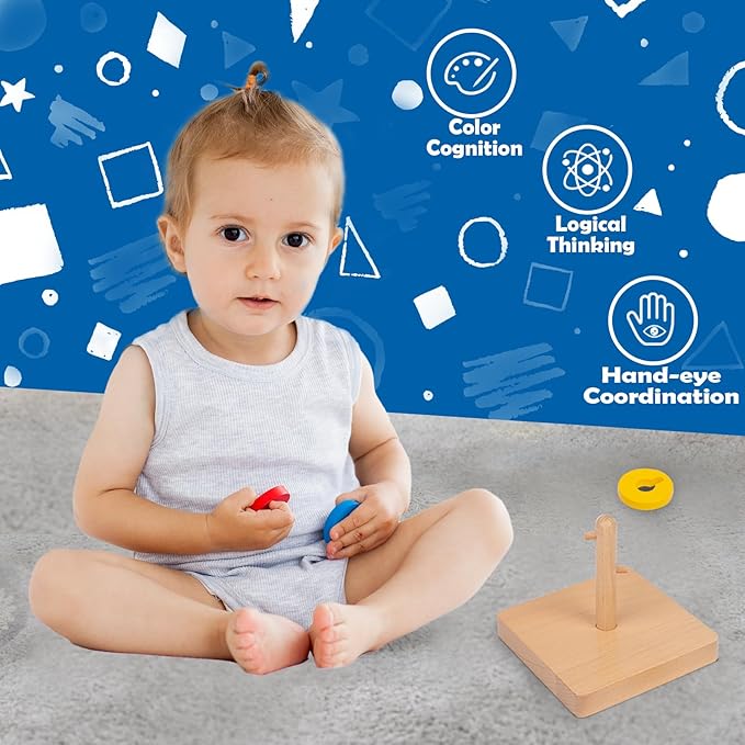 Adena Montessori Wooden Twist and Sort-Circle Preschool Equipment Early Development Baby Toy