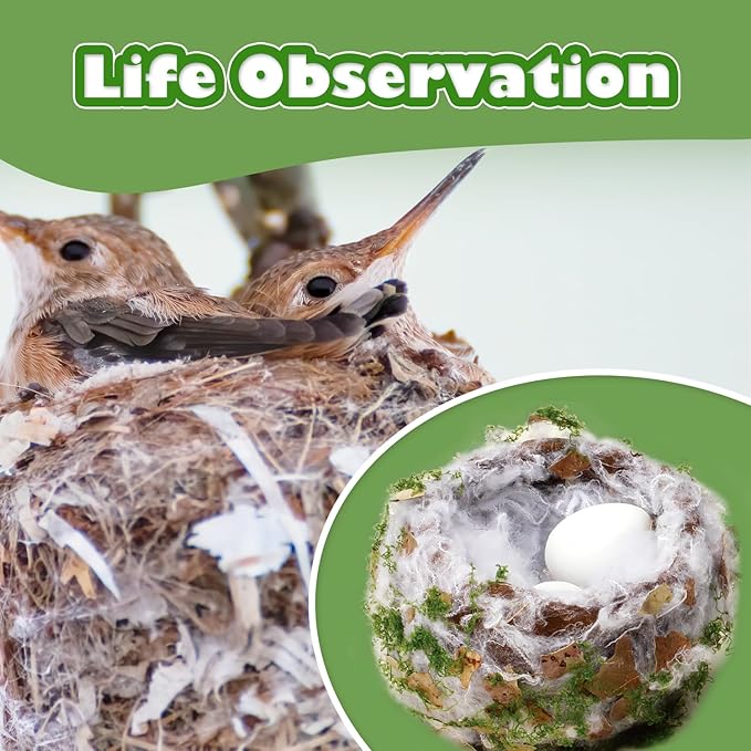 CHARTEKS DIY Bird Nest Craft Kit with 30 Twinkle LEDs and Simulated Eggs – Natural String Art Set for Home Décor, Kids STEM Toy, Creative Birthday Gift for Boys Girls Age 8+