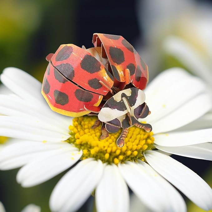 Early Educational Toys and Games, Eco-Friendly STEM Activities and 3D Paper Puzzles for Autistic Kids-Ladybug (Ages 7 and up)……