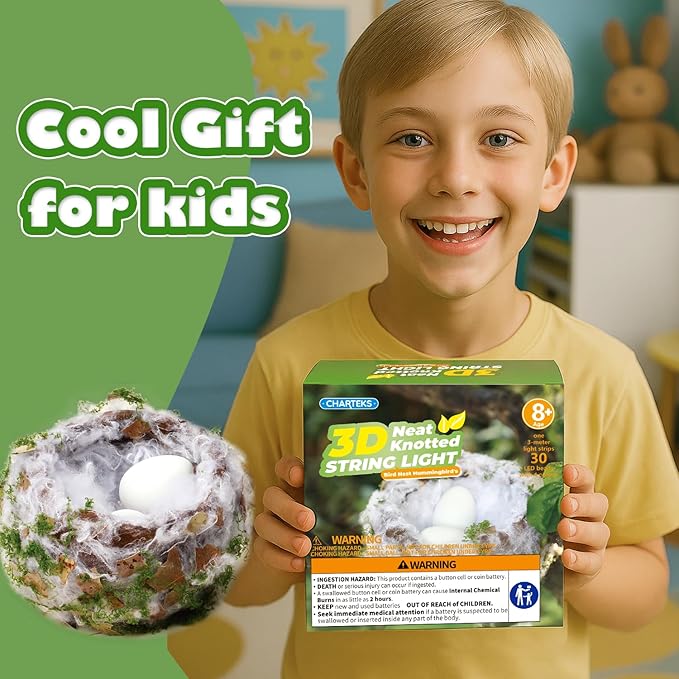 CHARTEKS DIY Bird Nest Craft Kit with 30 Twinkle LEDs and Simulated Eggs – Natural String Art Set for Home Décor, Kids STEM Toy, Creative Birthday Gift for Boys Girls Age 8+