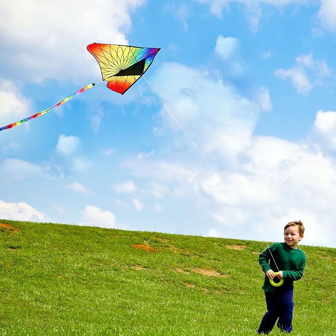 HONBO Large Delta Kite for Kids & Adults,Extremely Easy to Fly Kite for Beach Trip,String Line Included,with Colorful Tail,Perfect for Beginners