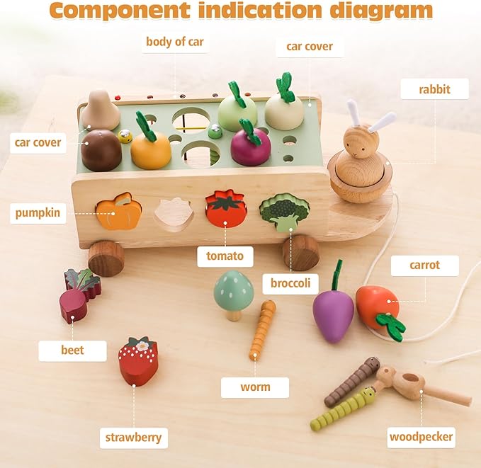 OESSUF Montessori Toys Toddlers Wooden Educational Toys for Baby Boys Girls, Shape Sorting & Matching Fine Motor Skills Toys, Birthday Gifts for Kids