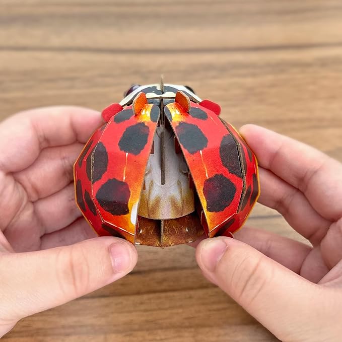 Early Educational Toys and Games, Eco-Friendly STEM Activities and 3D Paper Puzzles for Autistic Kids-Ladybug (Ages 7 and up)……