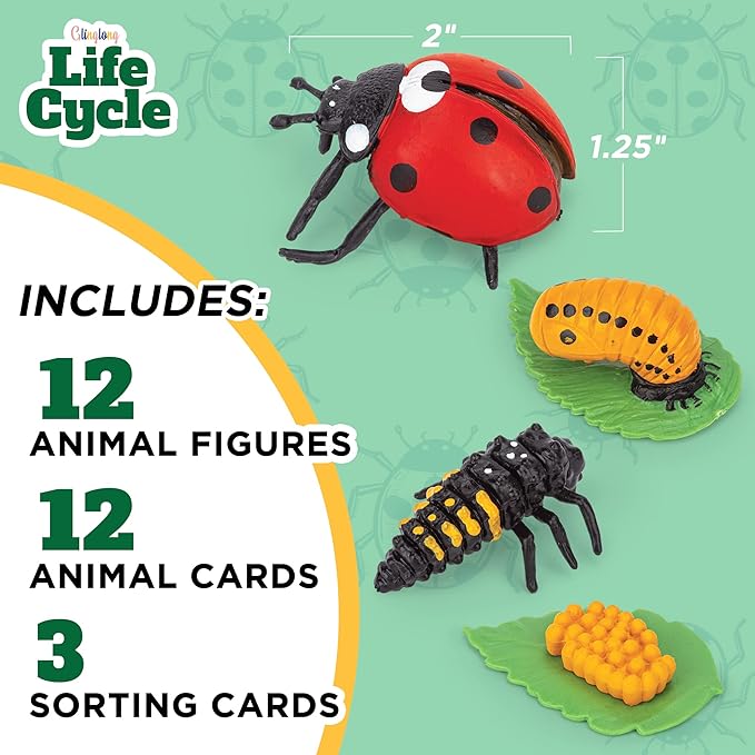 Life Cycle Animal Kit - 12-Piece Montessori Science Toy with Frog, Ladybug & Butterfly Figures. Matching Game & Educational Gift for Kids Ages 3 4 5 6 7 8